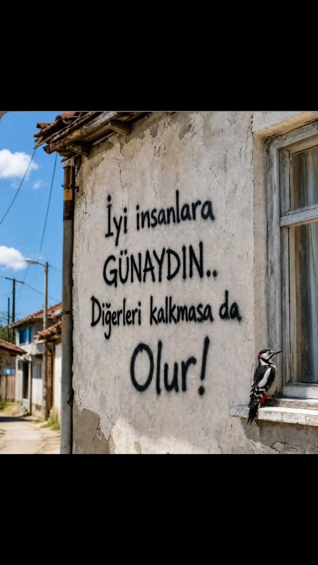 @Mehmet tc