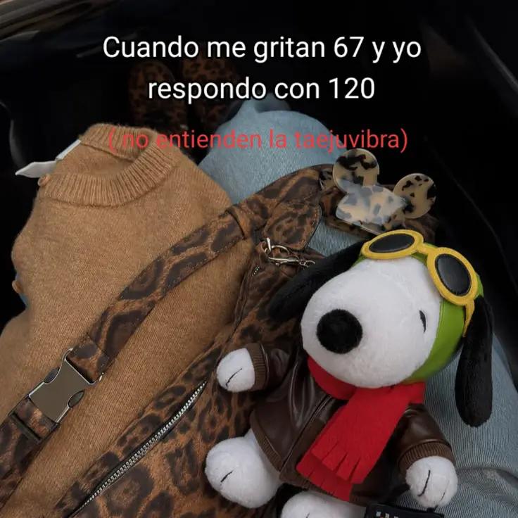 @snoopy 🎬