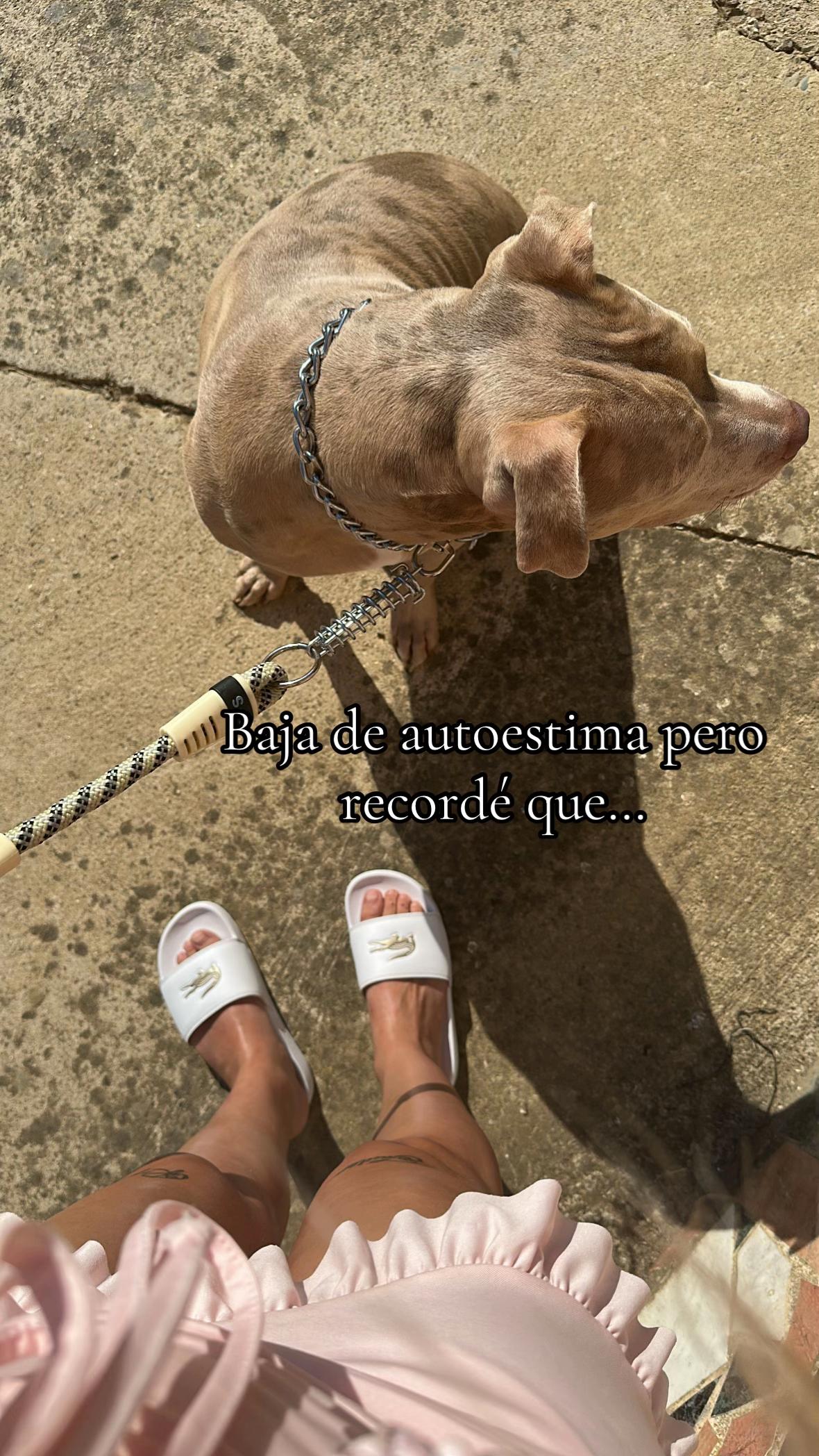 @DESIREÉ PÁMPANO 🎀