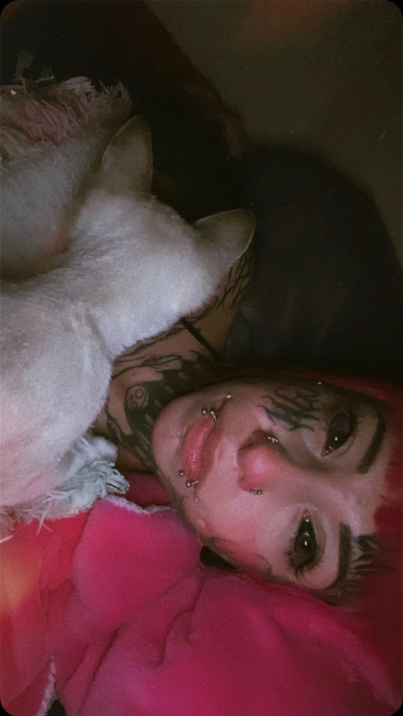 @PonnyPie BodMod666