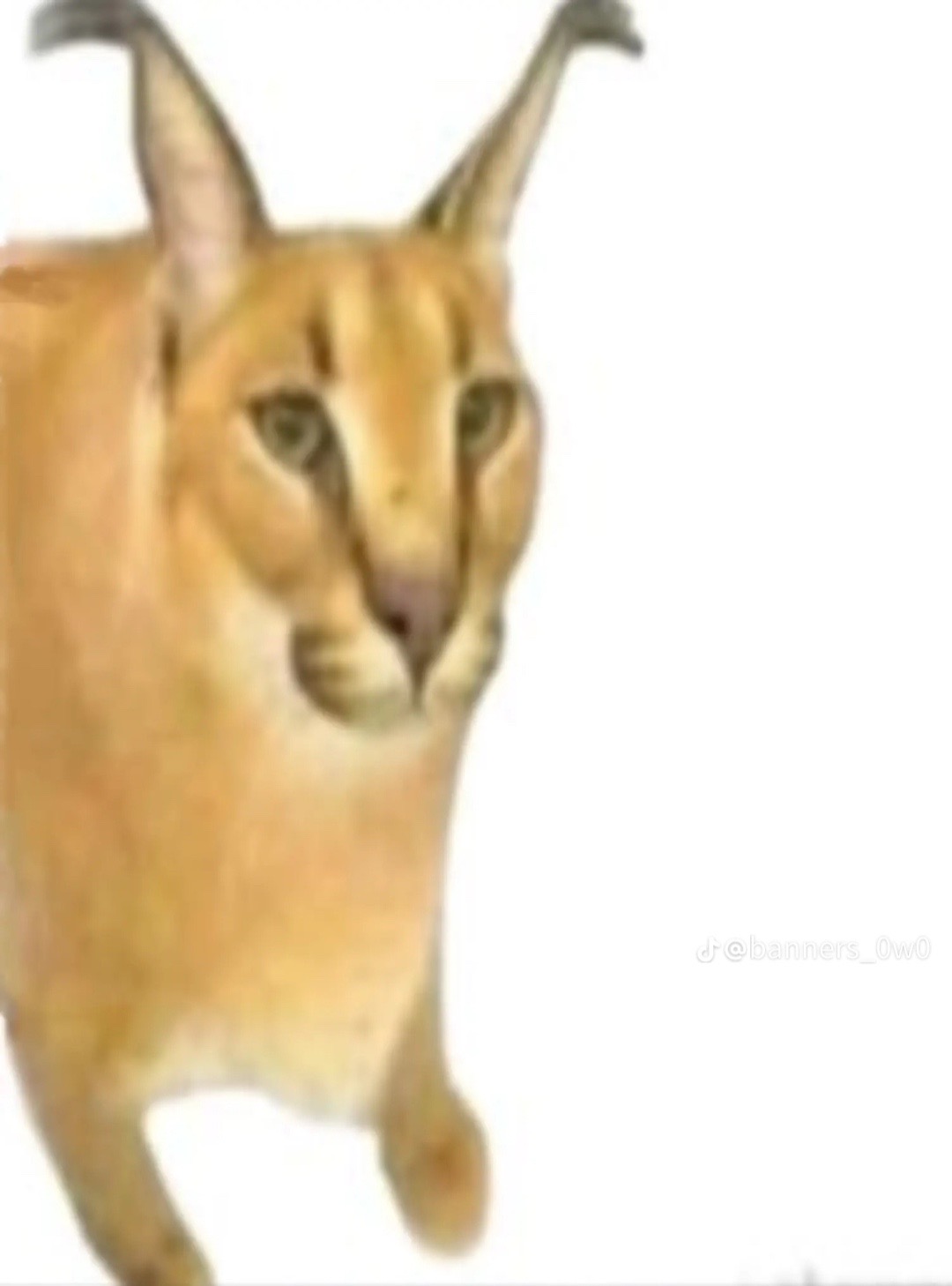 @∞๐๐ต๐ธ๐น๐ฃ๐ธ๐น ๐๐ช๐ป๐ช๐ฌ๐ชl∞