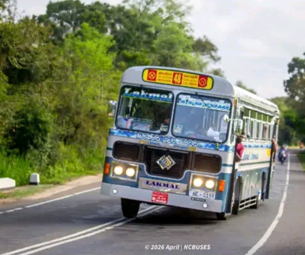 @bus lover ❤️❤️