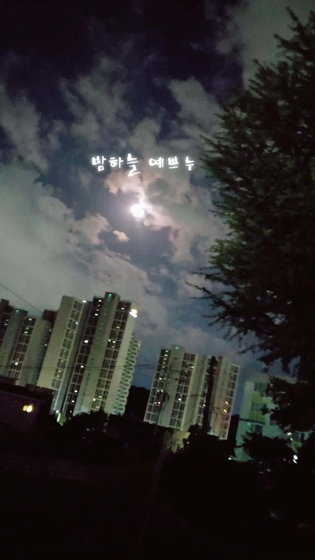 @Kim Na-hyun(김나현)
