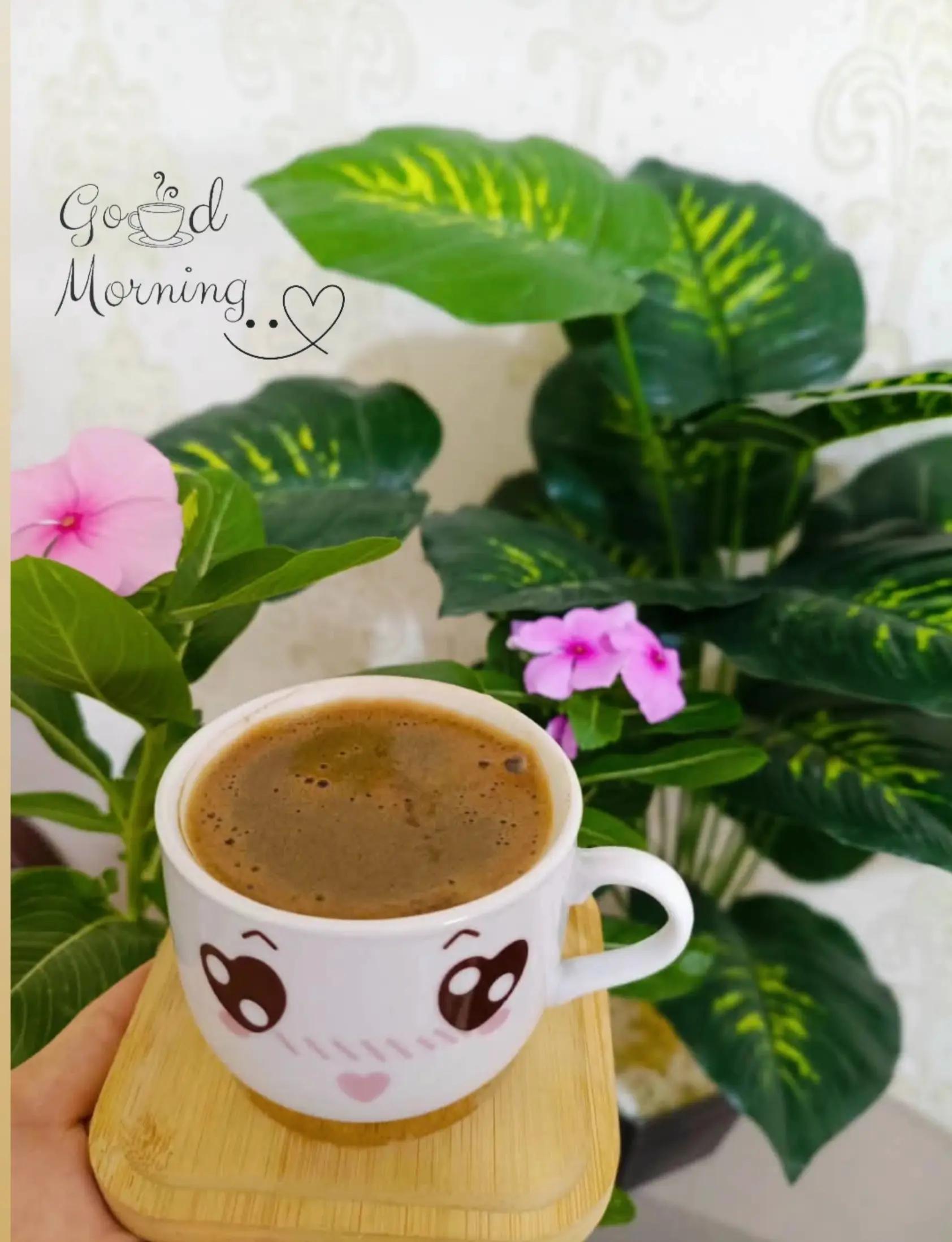 @𓆩𝑹𝑶𝑹𝑶𓆪ࢪﯡࢪﯡ🎀