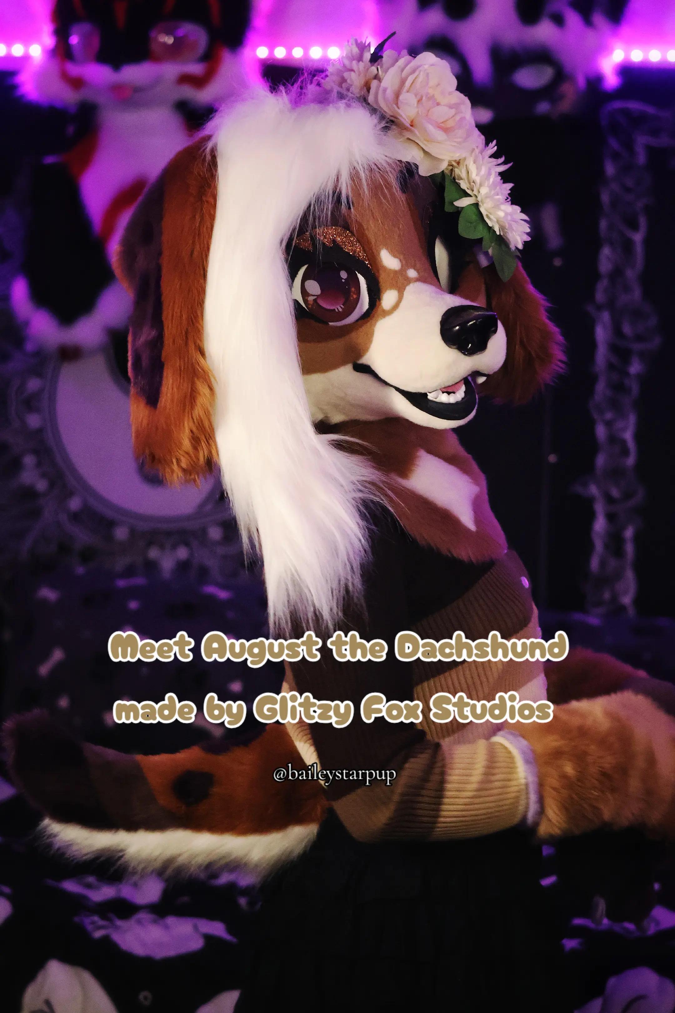@Bailey (lilpixiekitten)