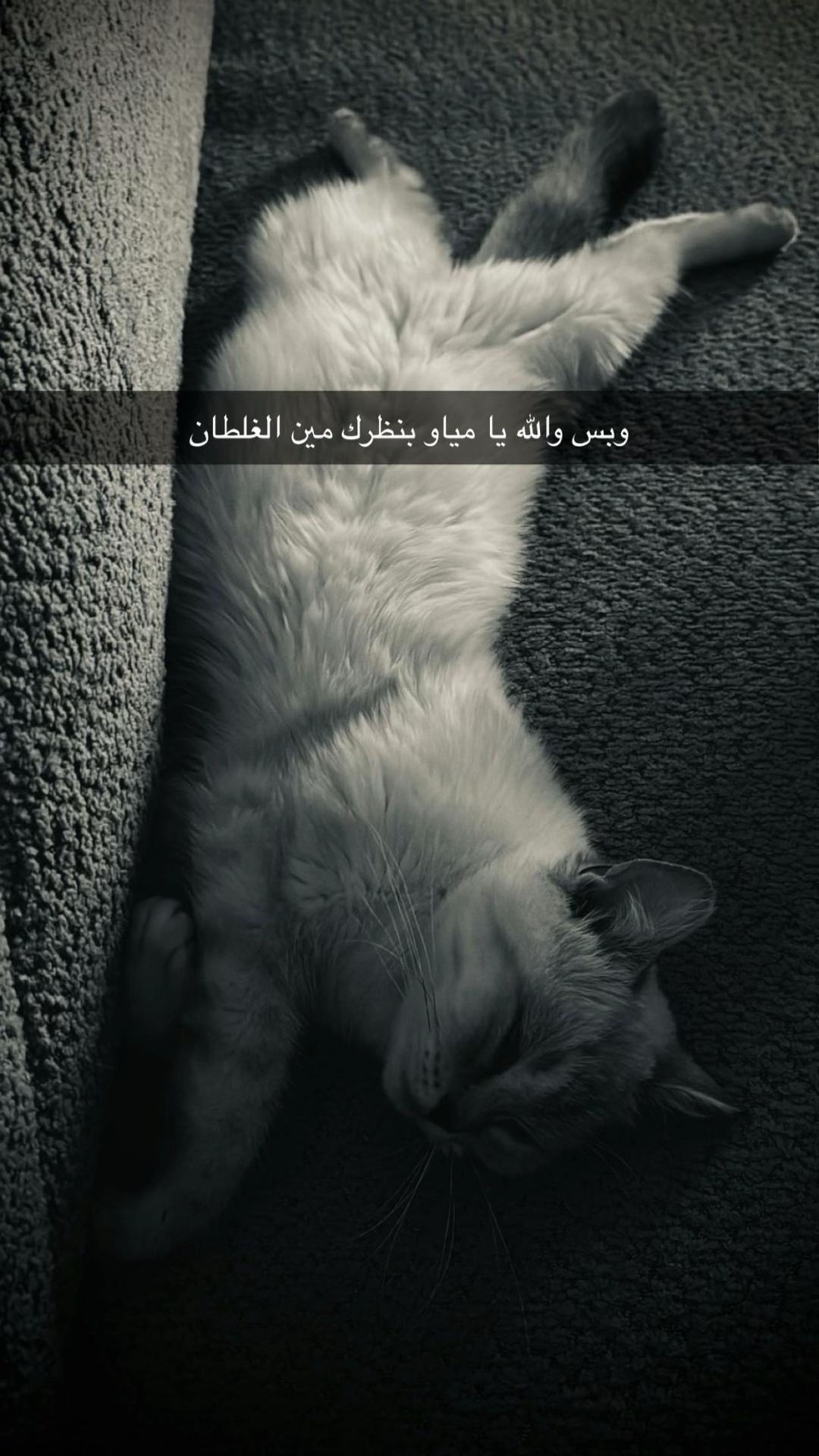 @𝑨𝒃𝒐𝒐𝒅