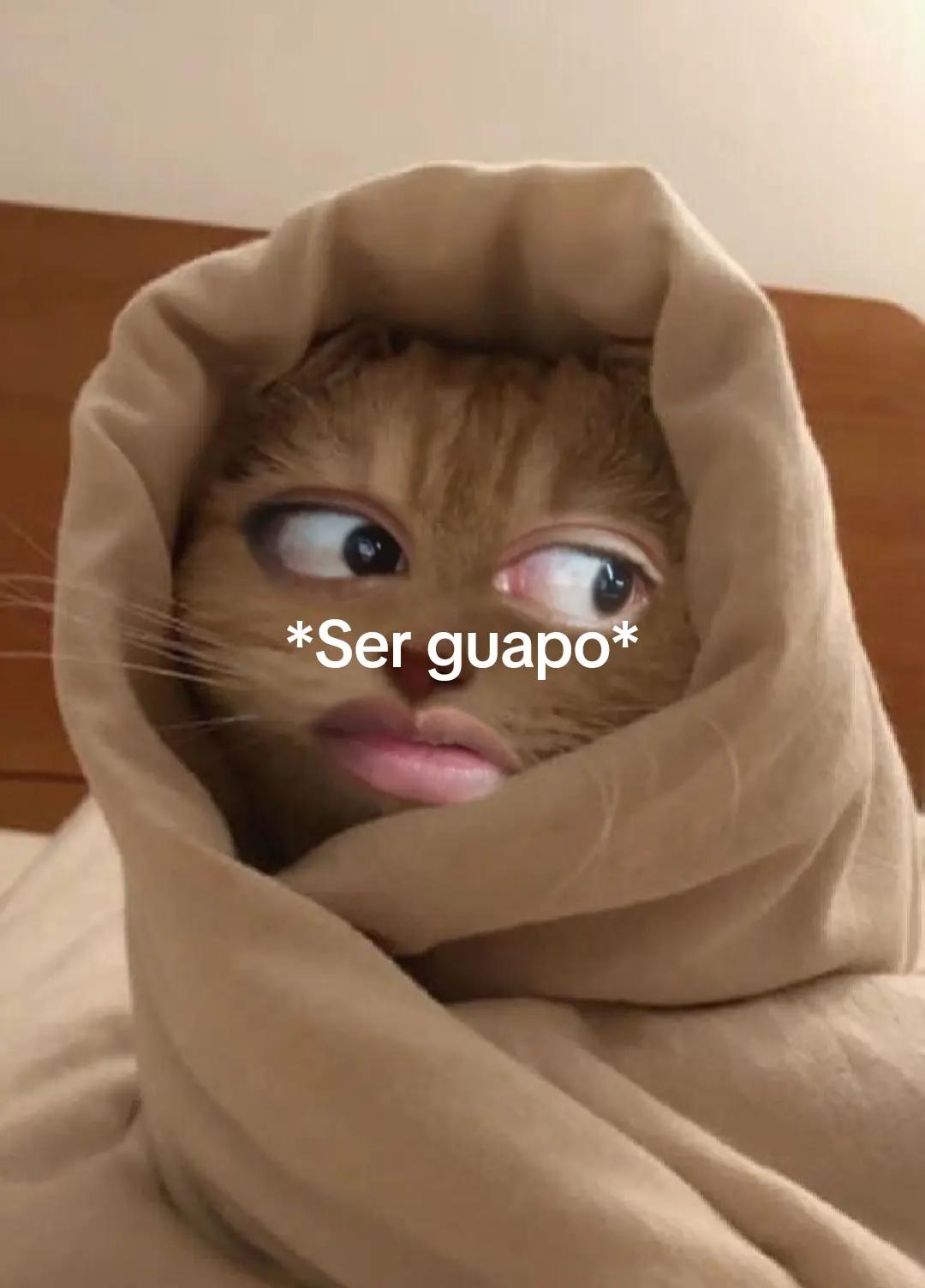 @Jou