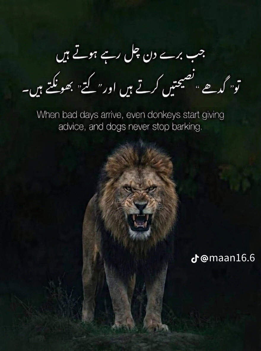 @usama hu yaar❤️🔥😜🤪