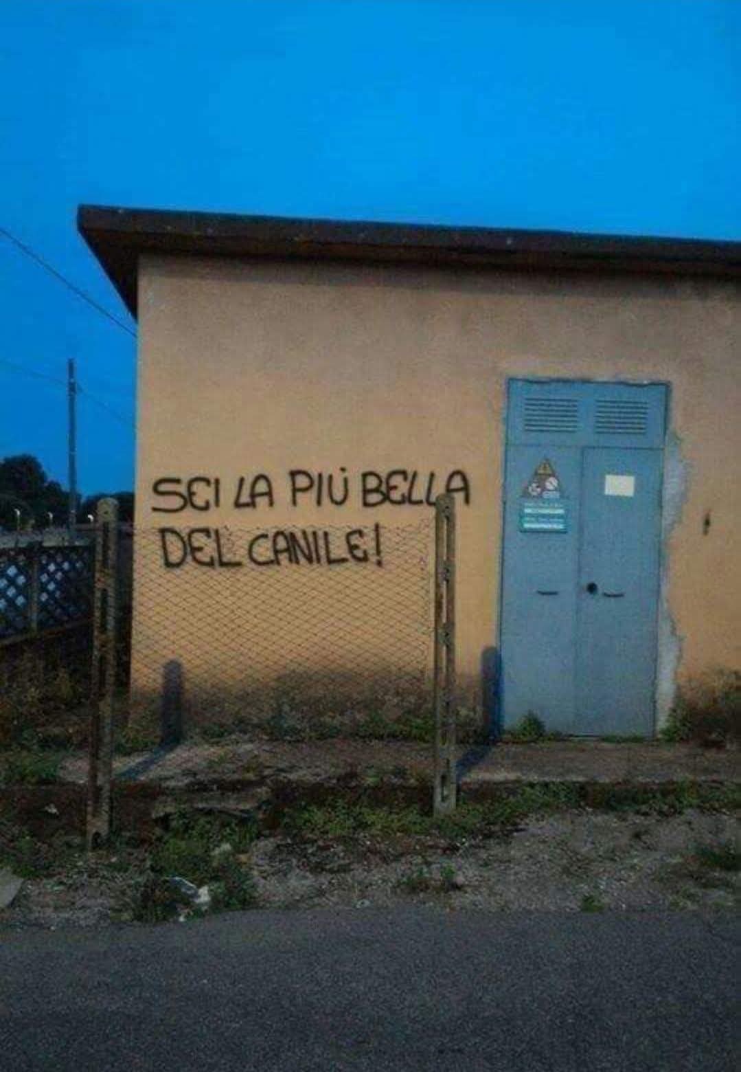 @Visual Sanguine