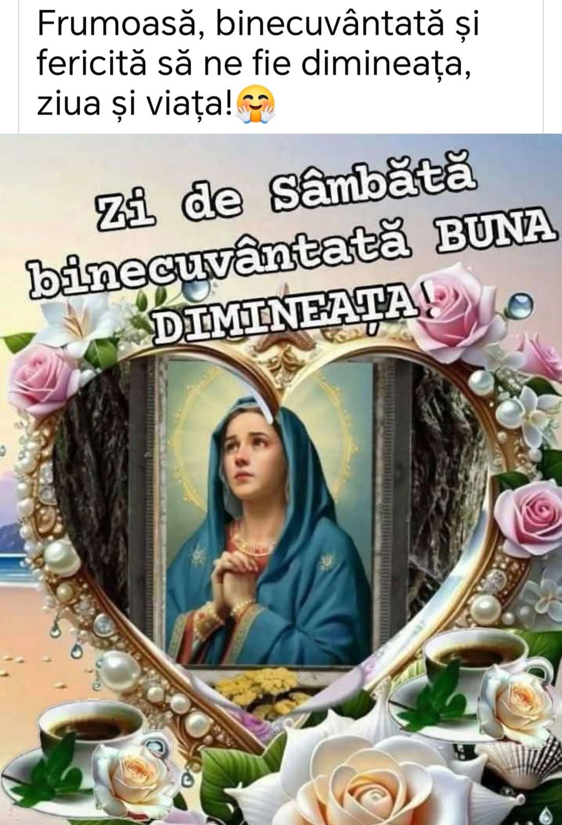 @Mocanu Alina