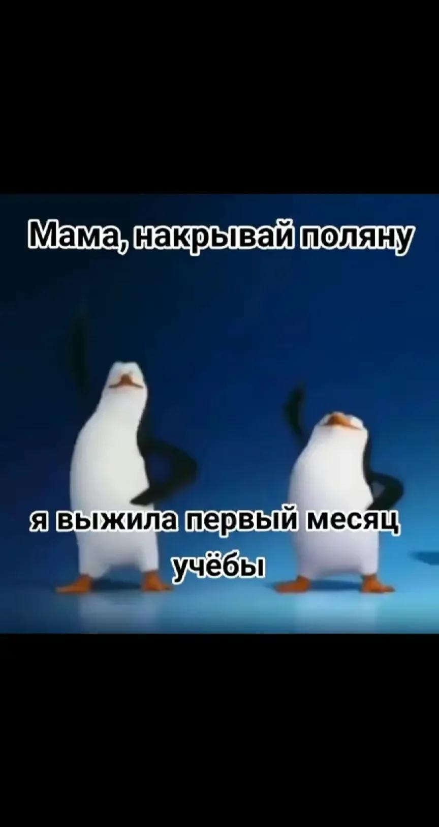 @Имя
