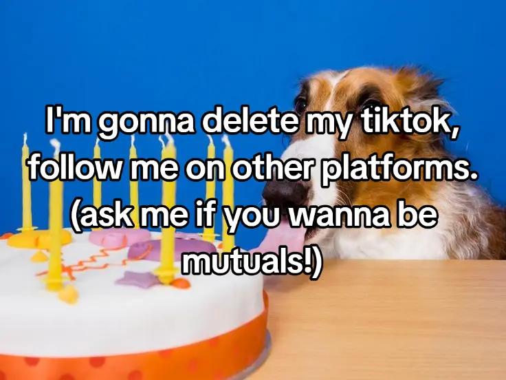 @Teratotally