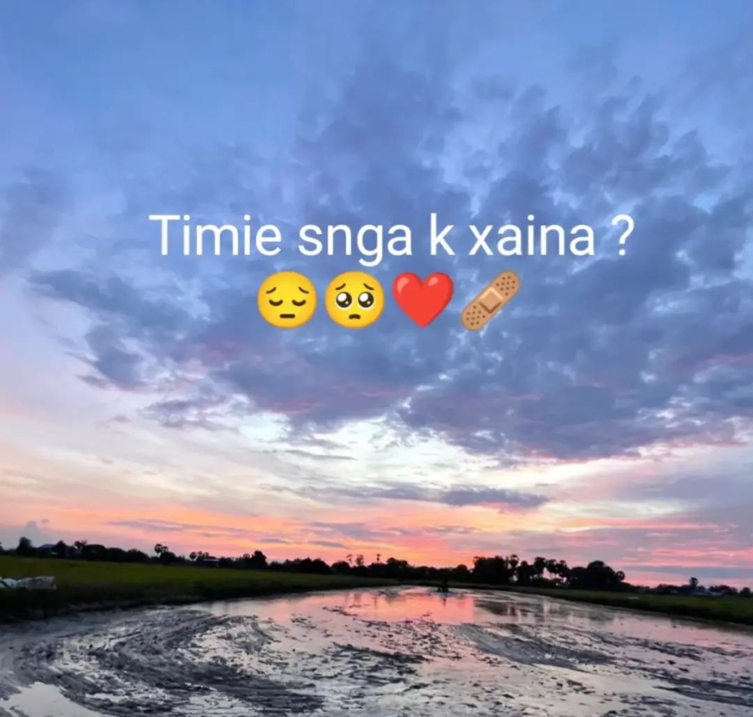 @musi