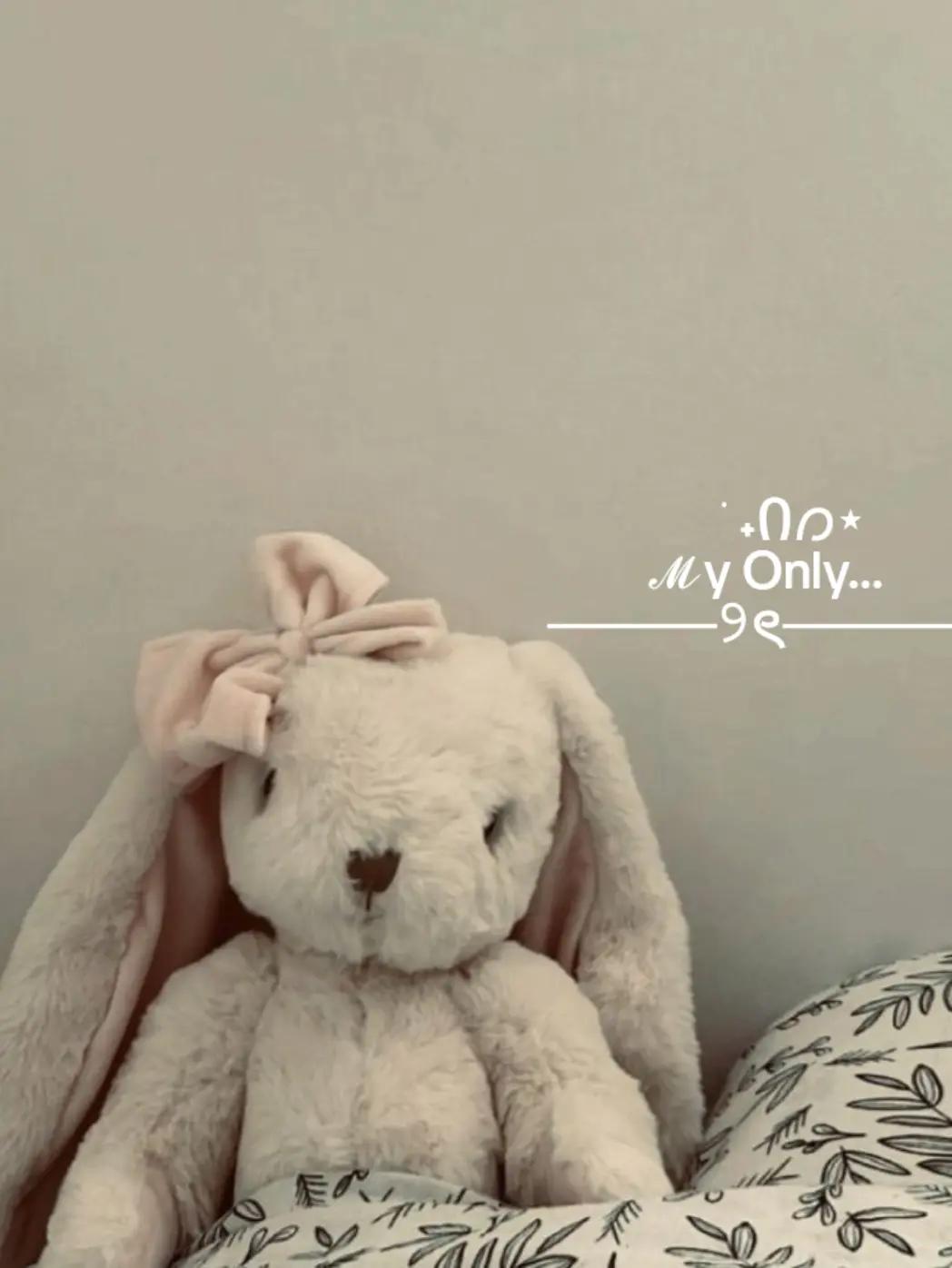 @May ᴡ̲̅. Chuu ࿐୨ৎ