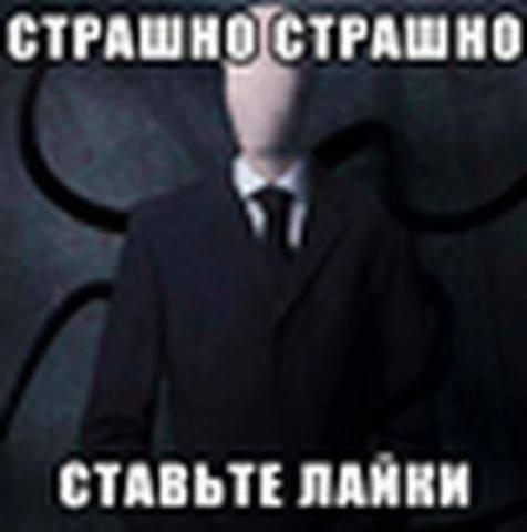 @элинотси
