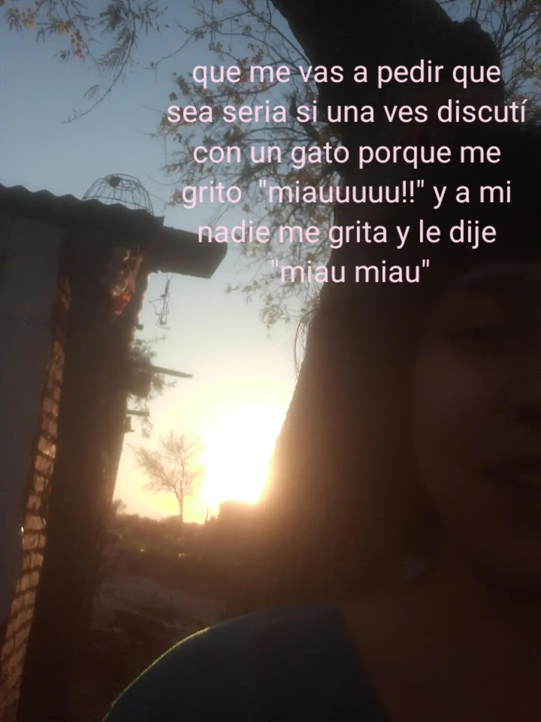@Pastel_7403