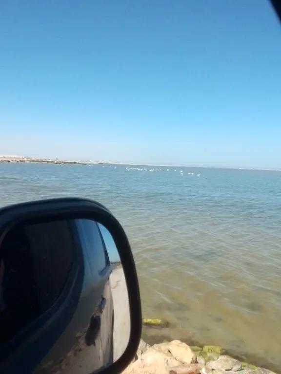 @Imen amri