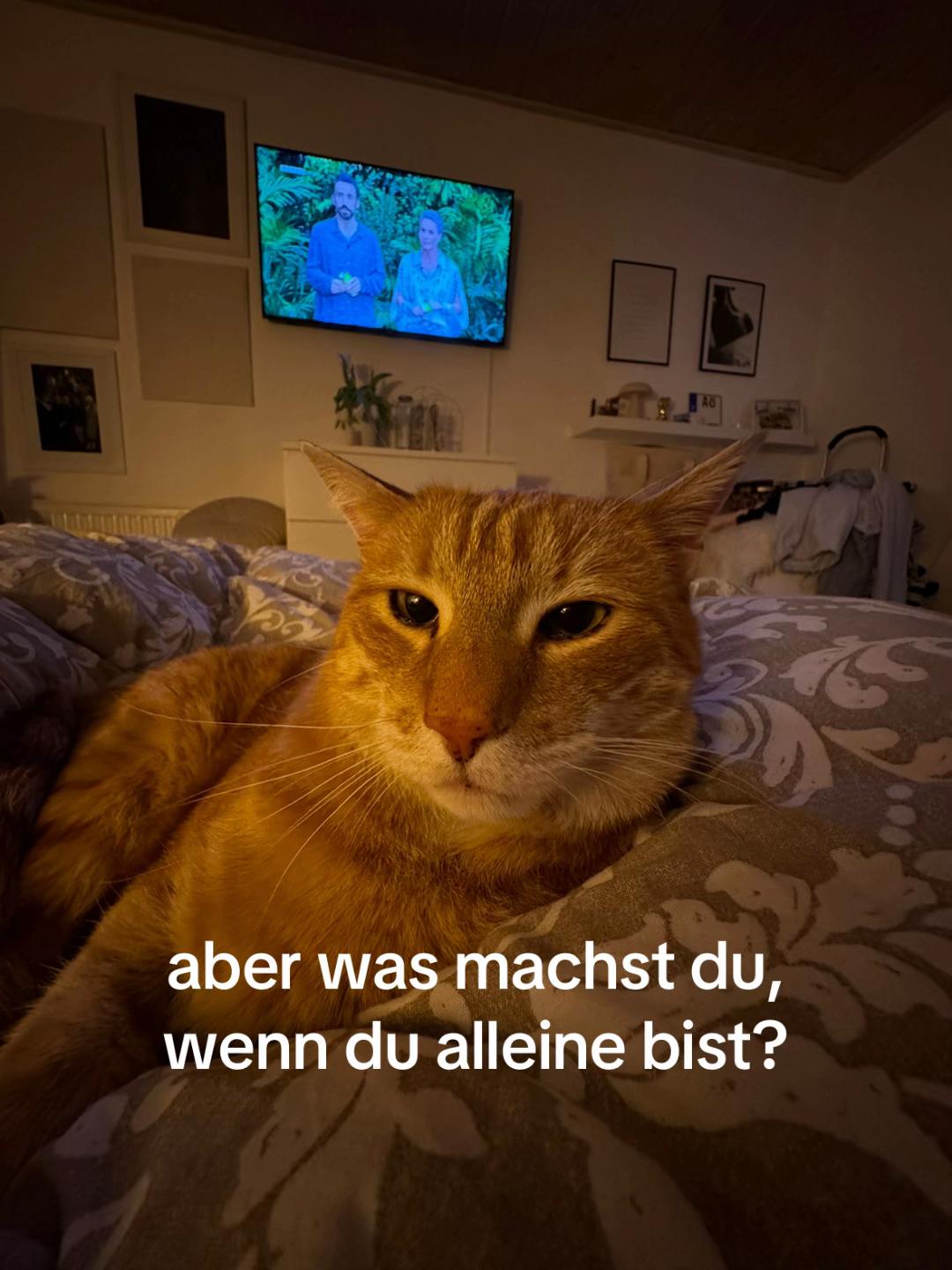 @lilli