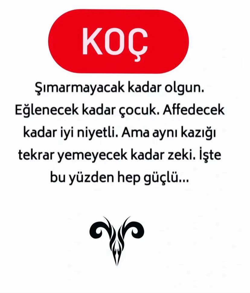 @kocburcu6