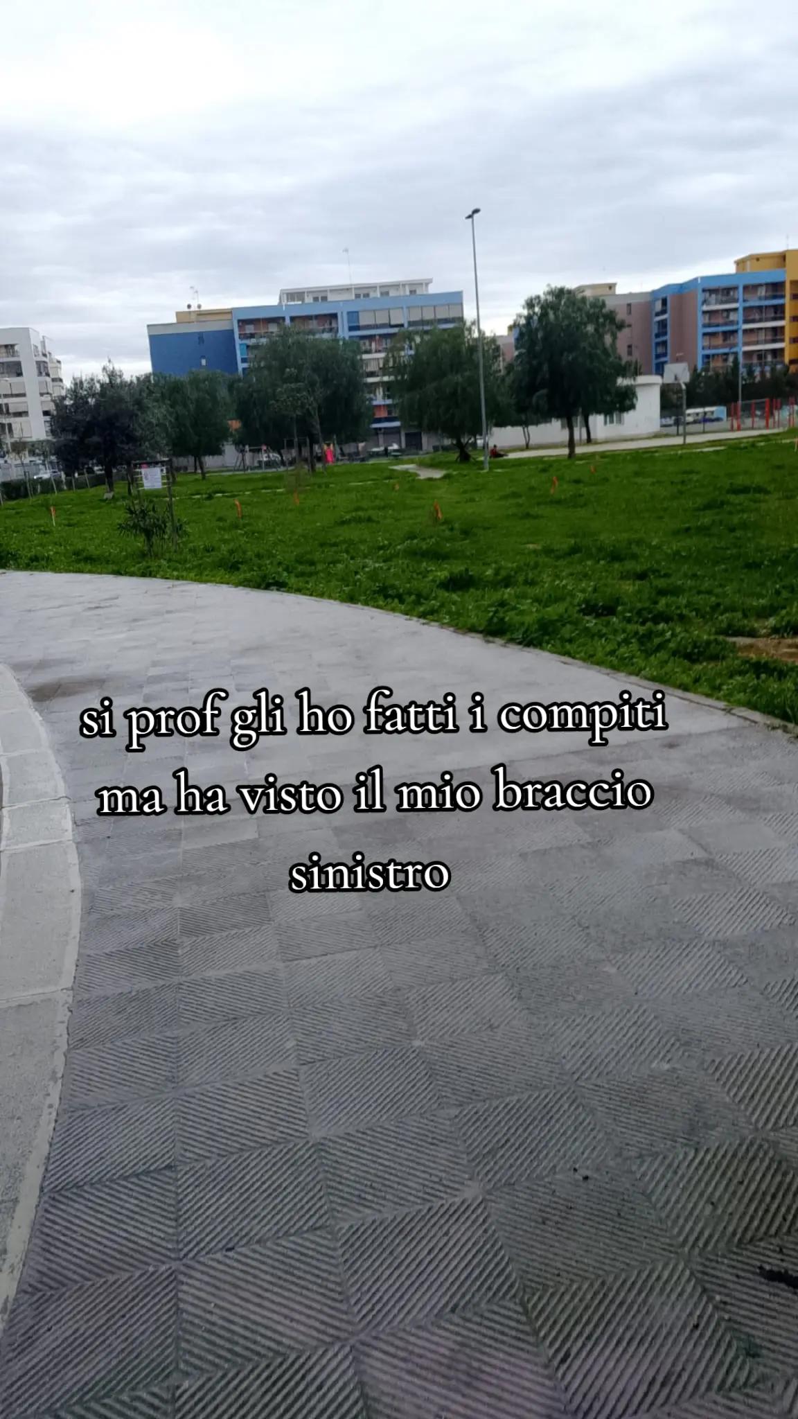 @account.sfogo8