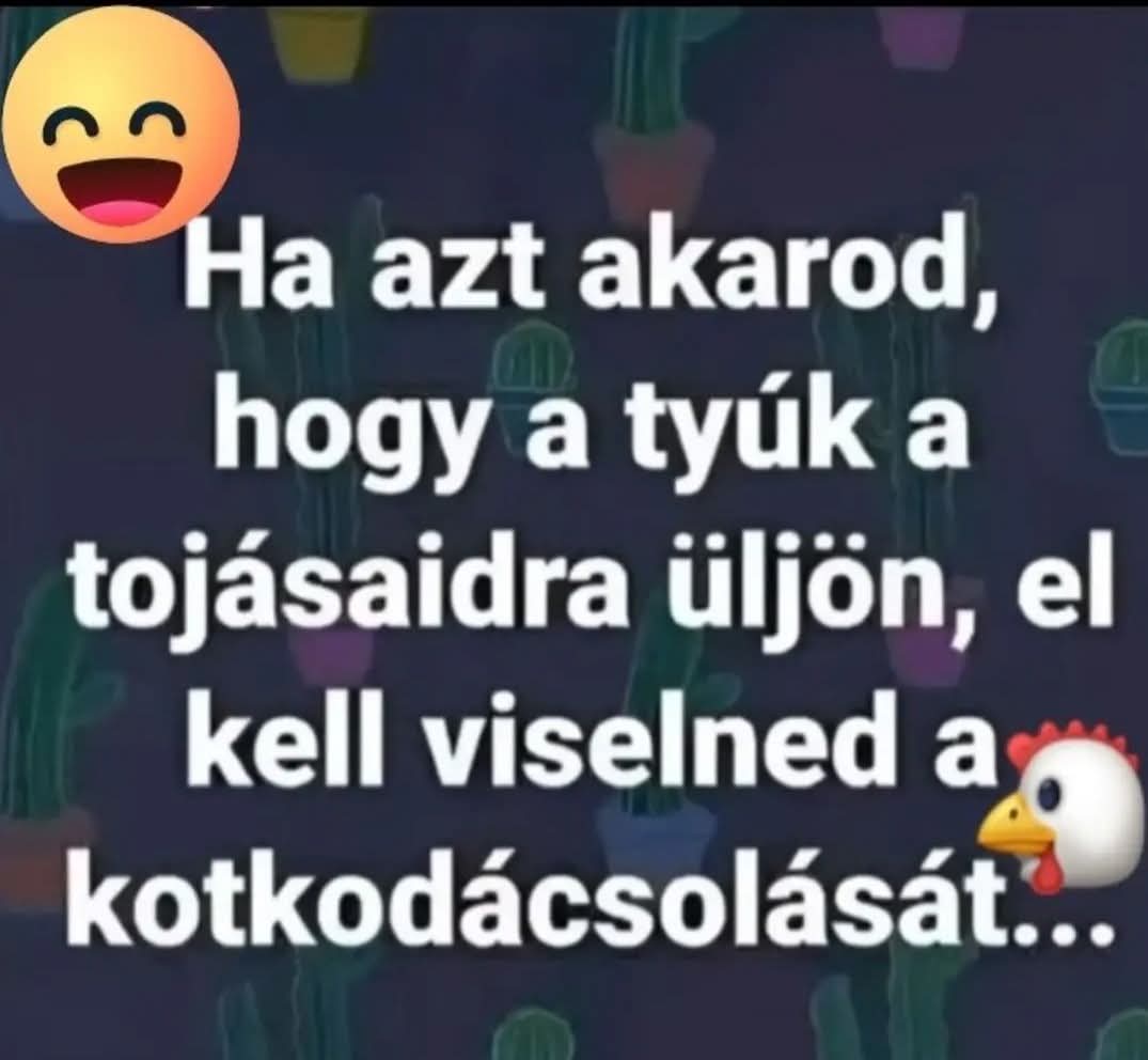 @T&iacute;mea B&aacute;csalm&aacute;si