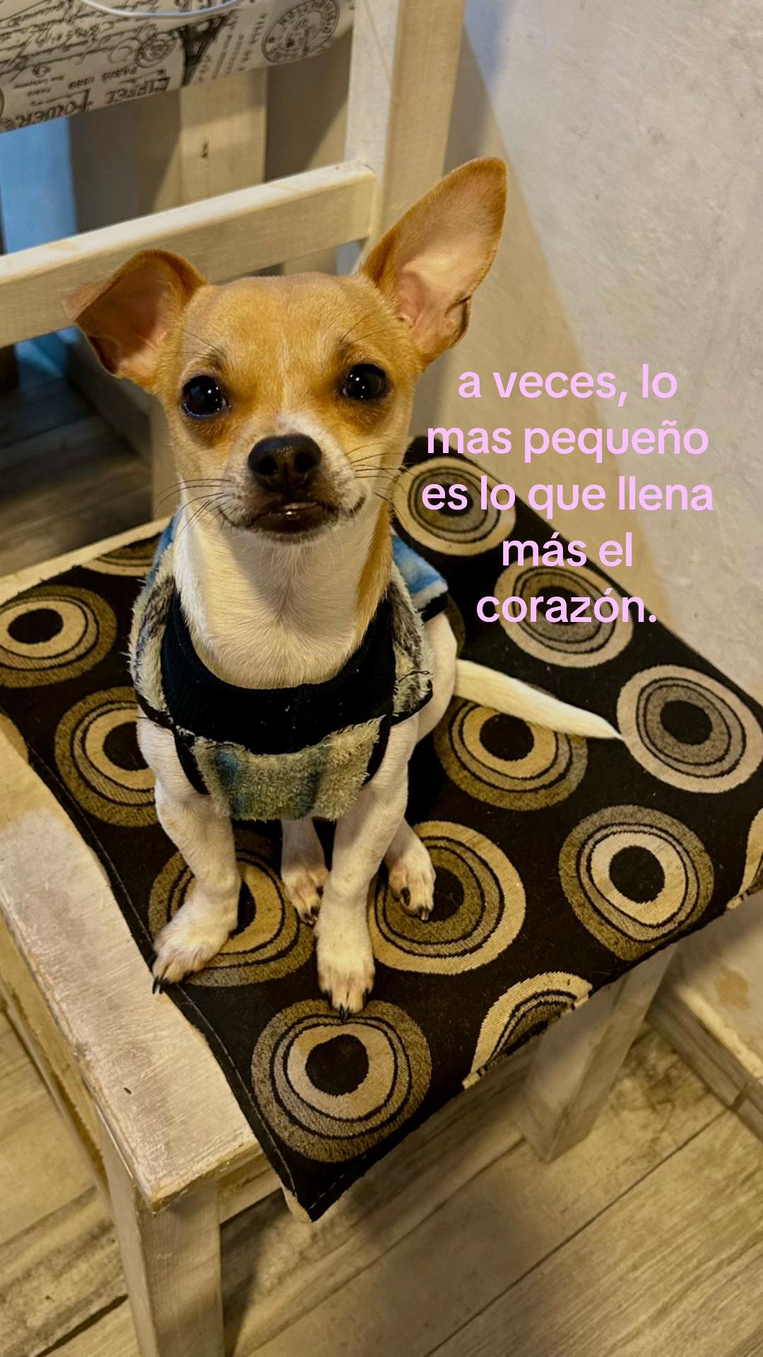 @c4rolrodriguezz