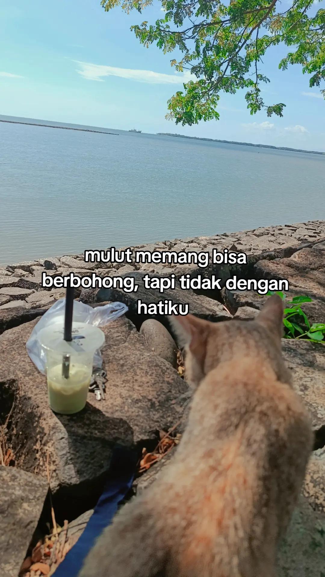 @zohwa__