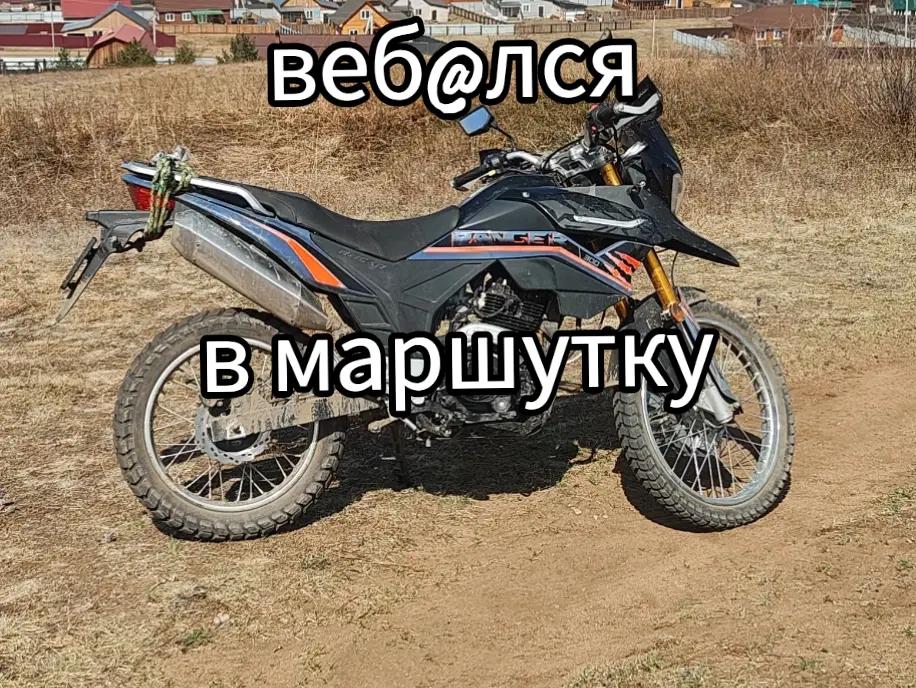@Король