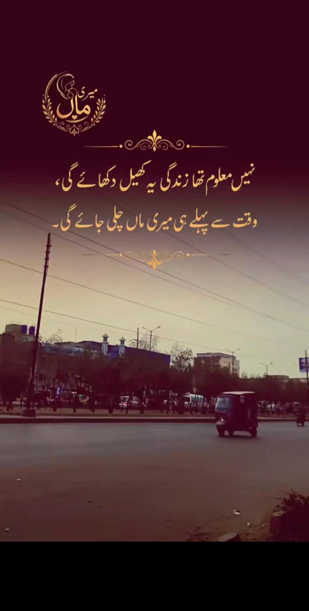 @شاہزیب علی 🥰
