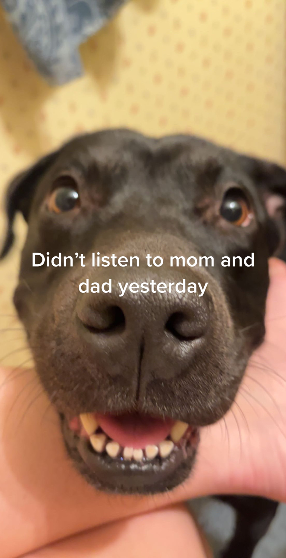 @𝒞𝒾𝑒𝓇𝓇𝒶