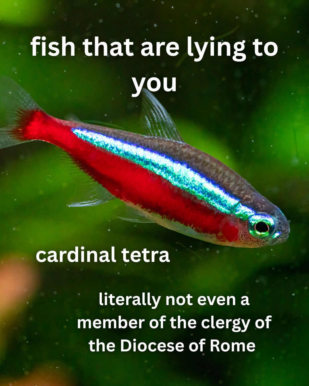 @BristolAquarium