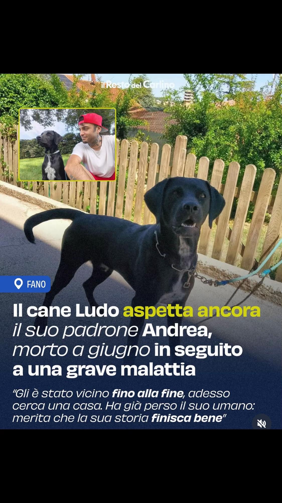 @Pancio