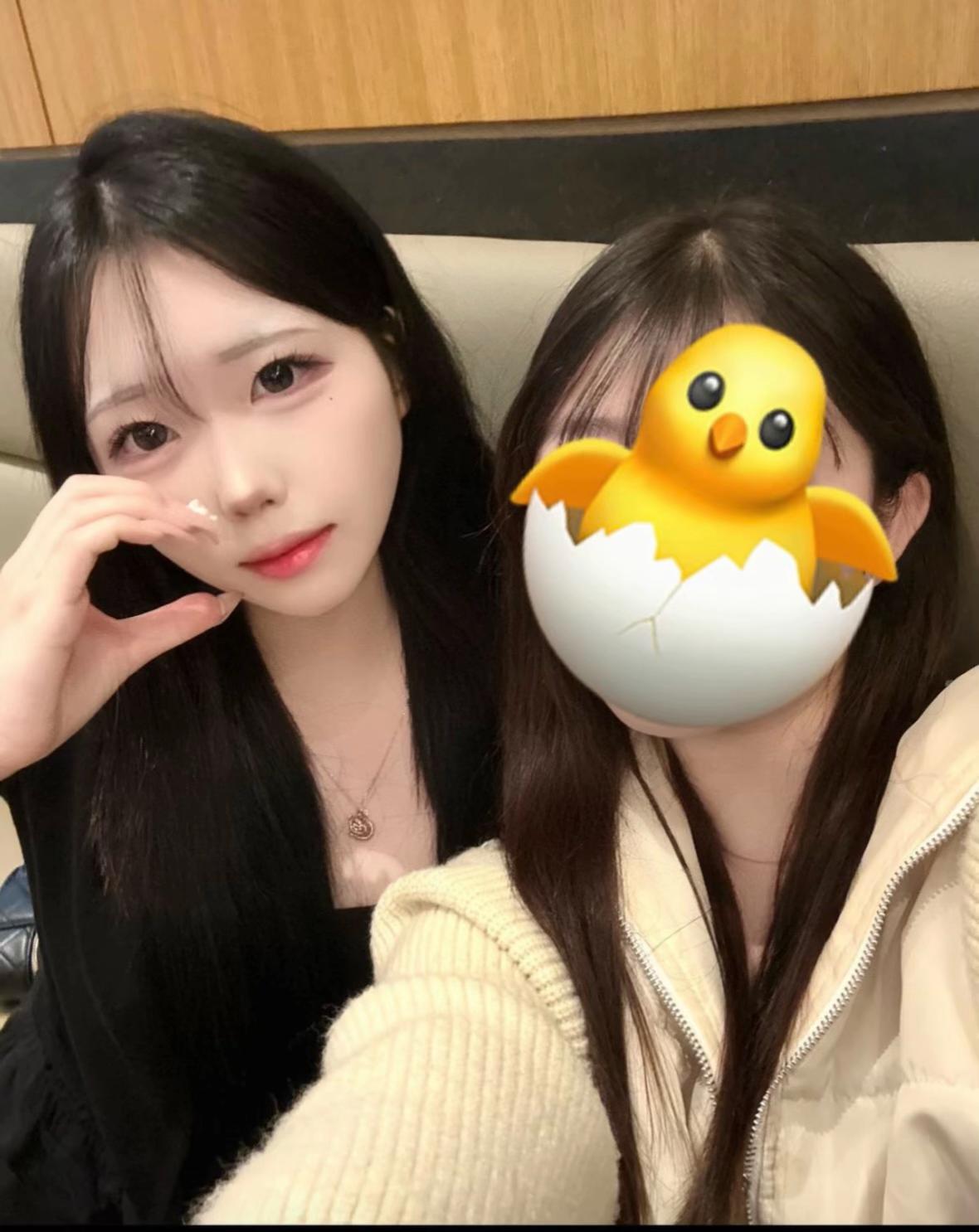 @돌고래