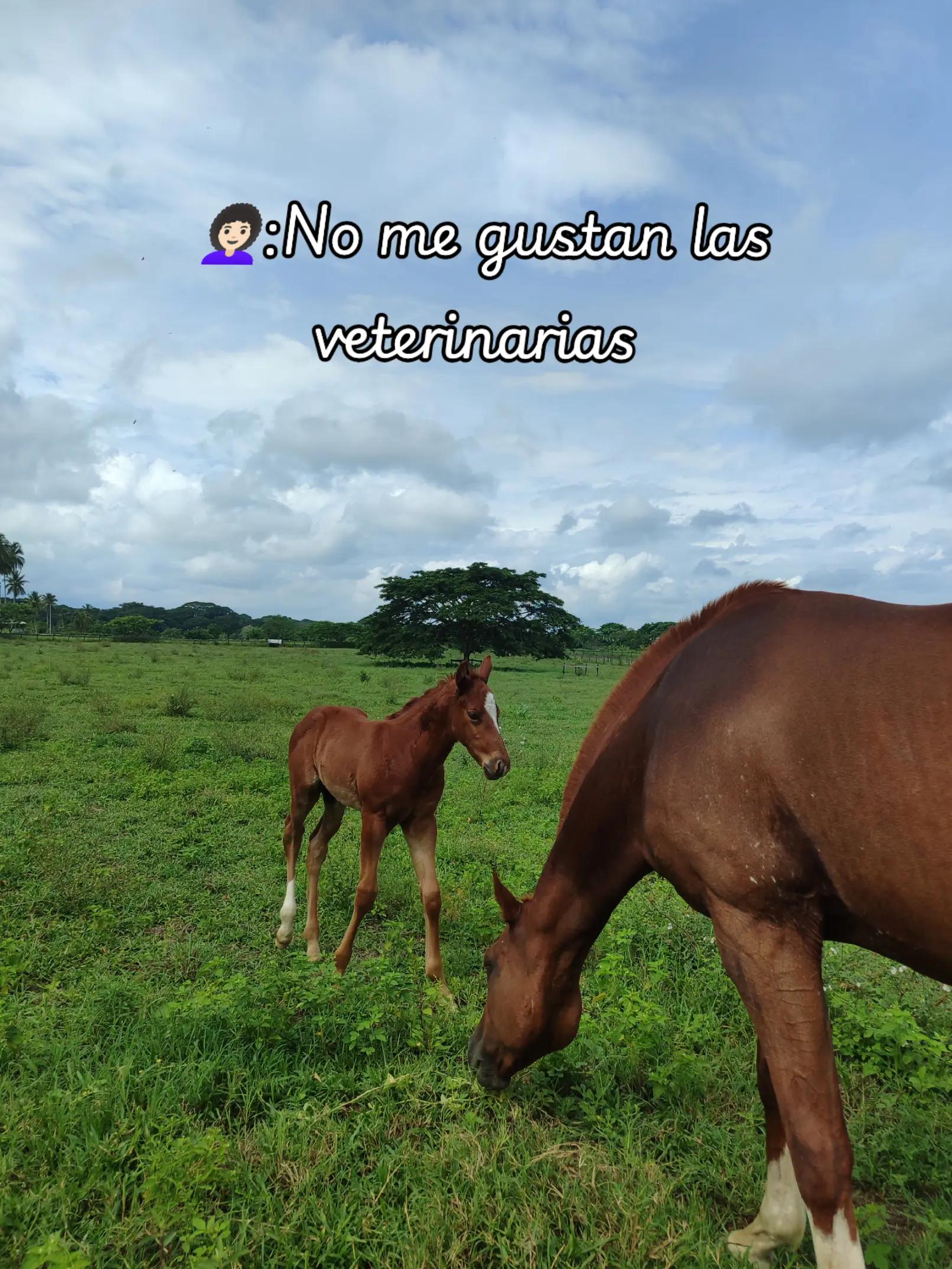 @Mariangel Ocanto :)