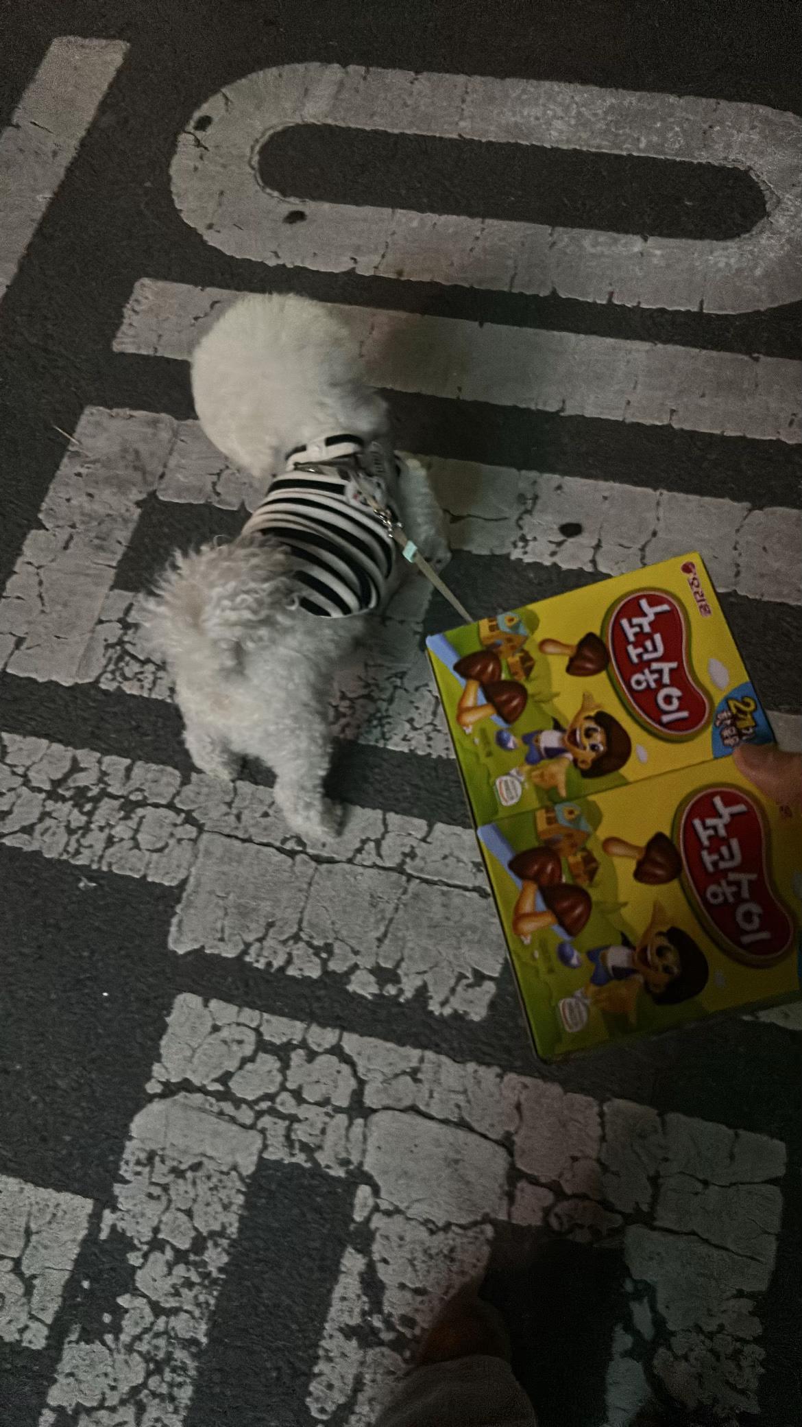 @가은