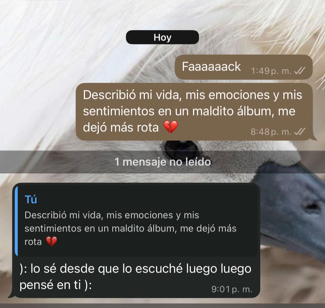 @Karyme Aguirre