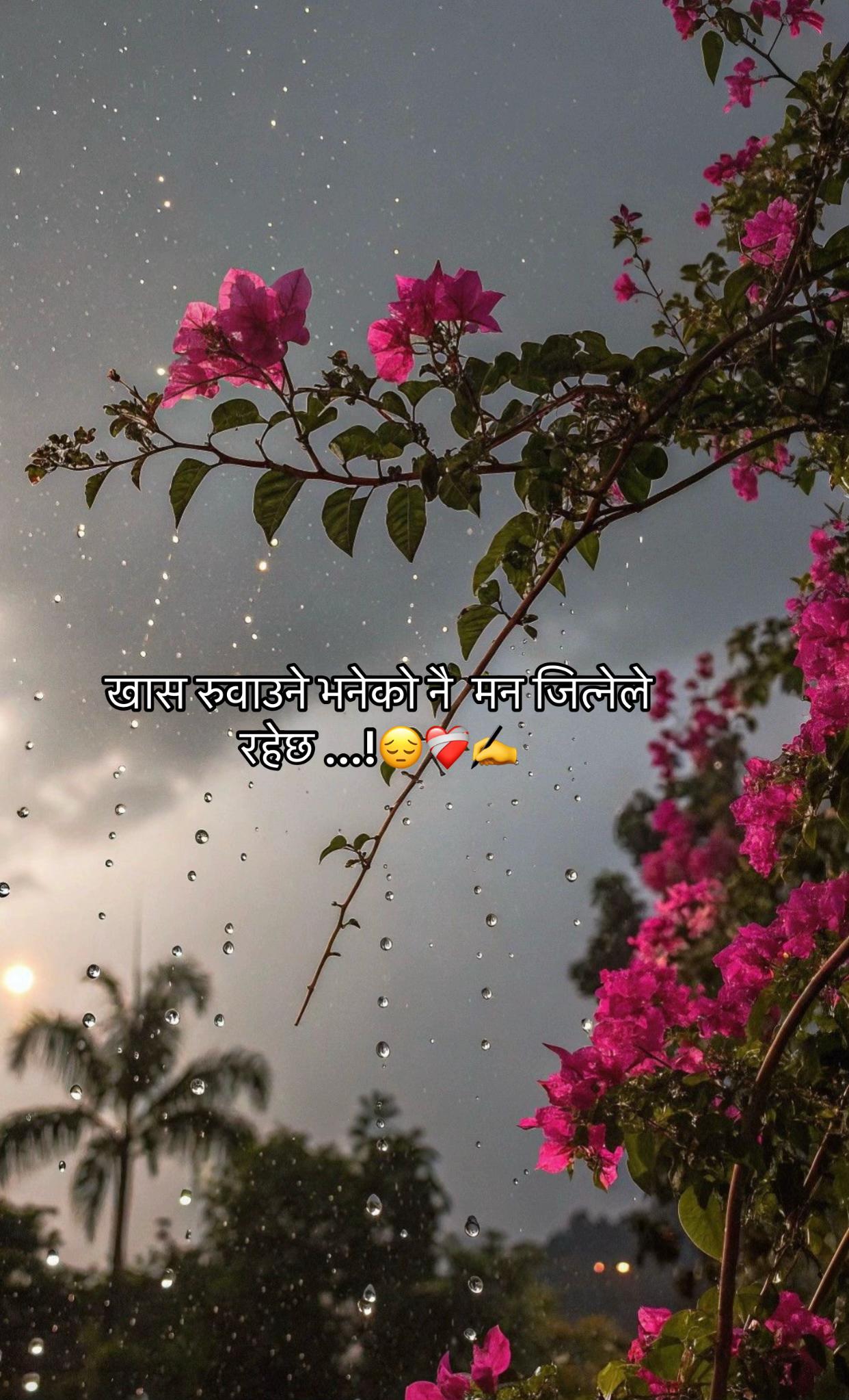 @Ms:Gurungni🫶❤️&zwj;🩹