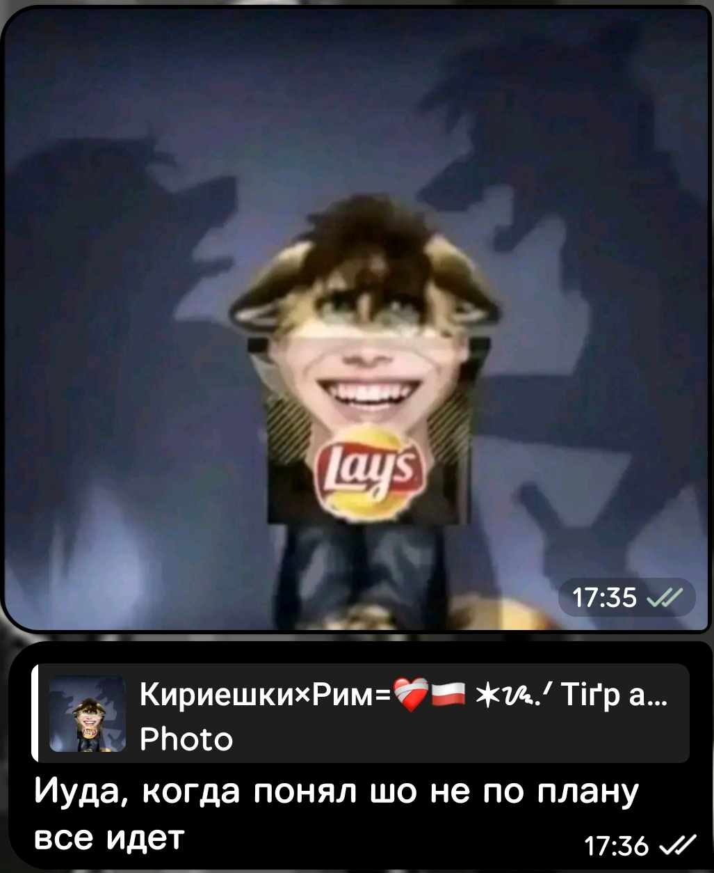 @NarcisusArt๐ฆJoostK/Jann/Kiwi@