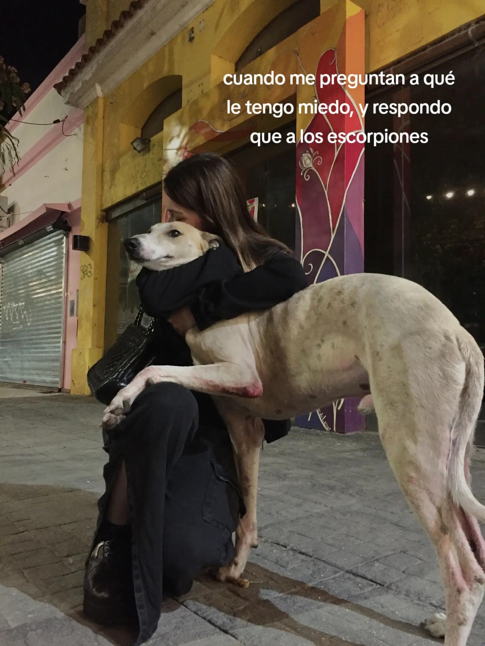 @adddelᖭི༏ᖫྀ
