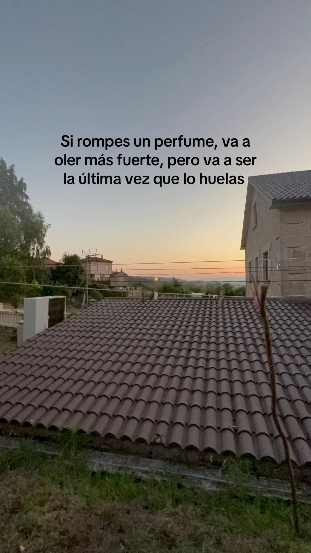 @compartidos2586