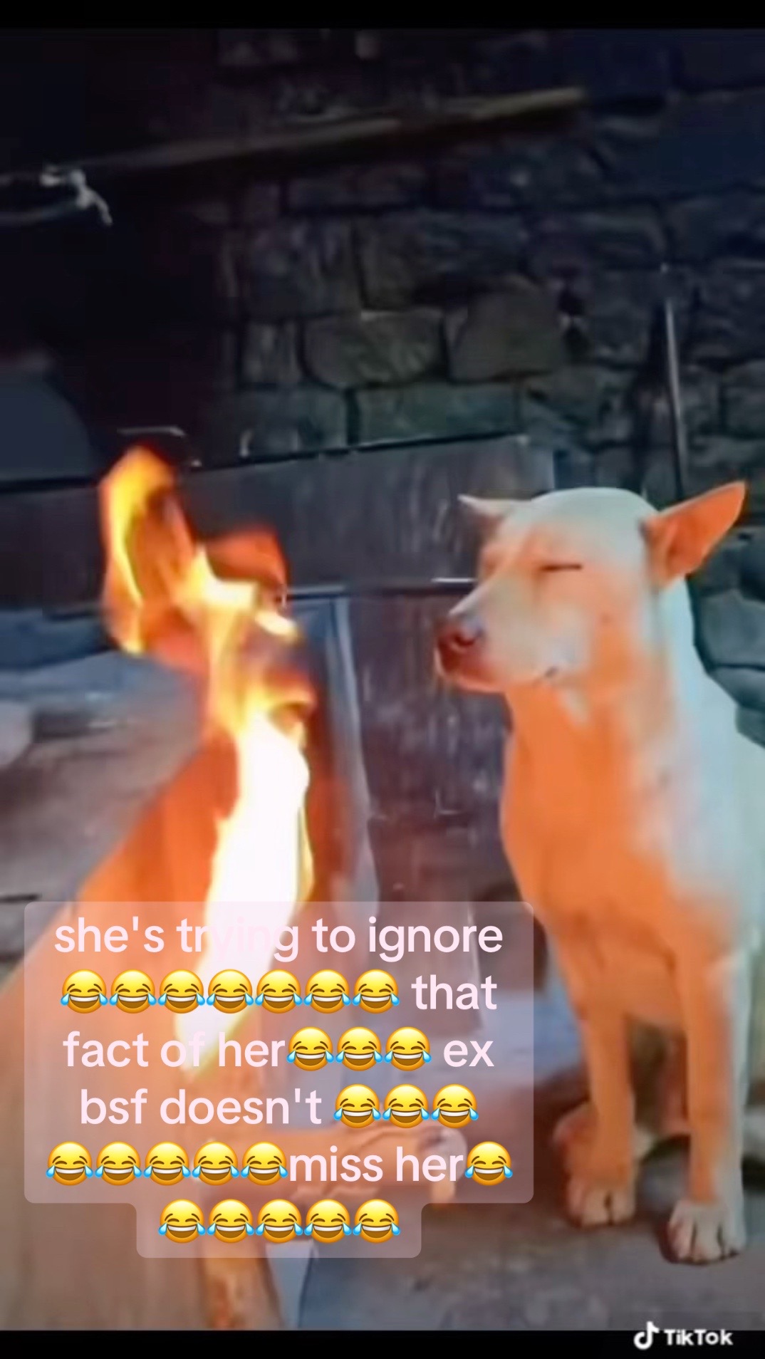 @callie7o77