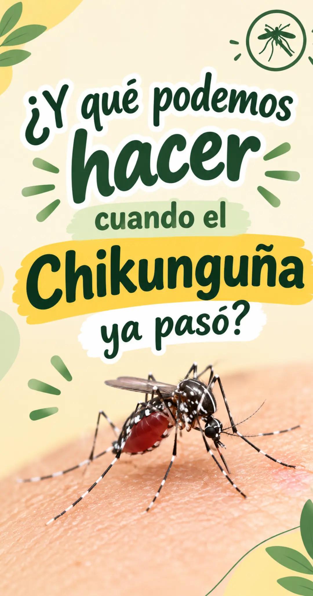 @J E Bolivia