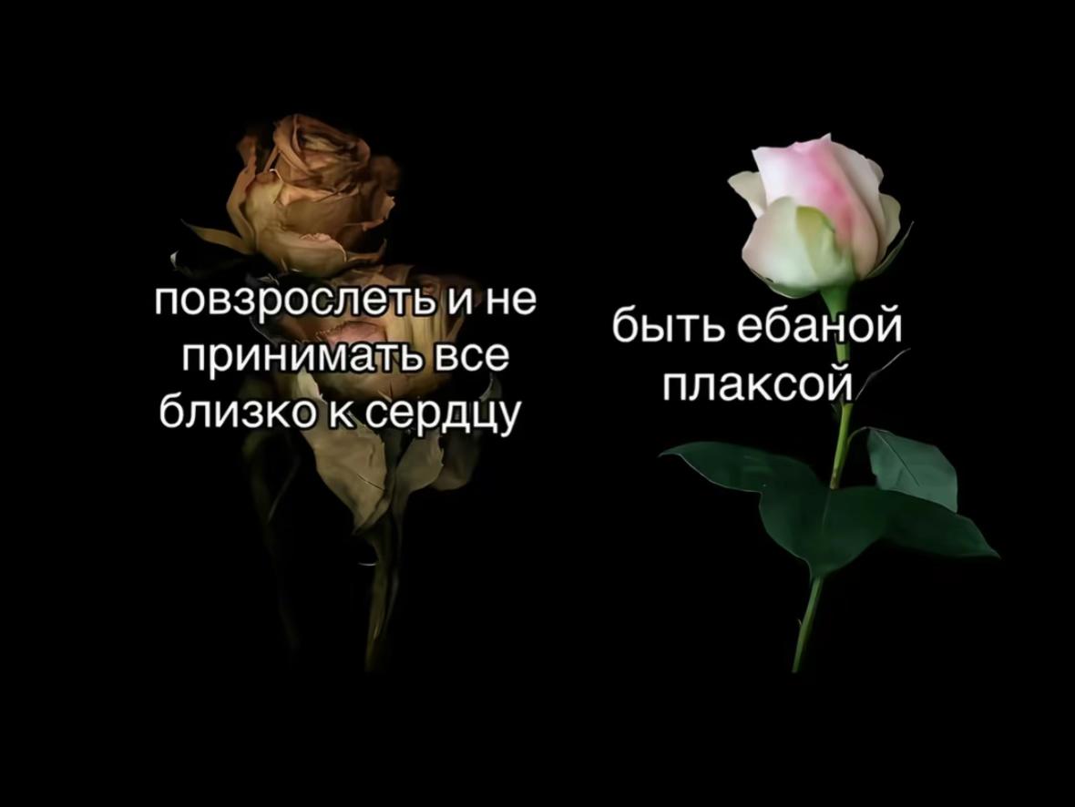@Линова💿
