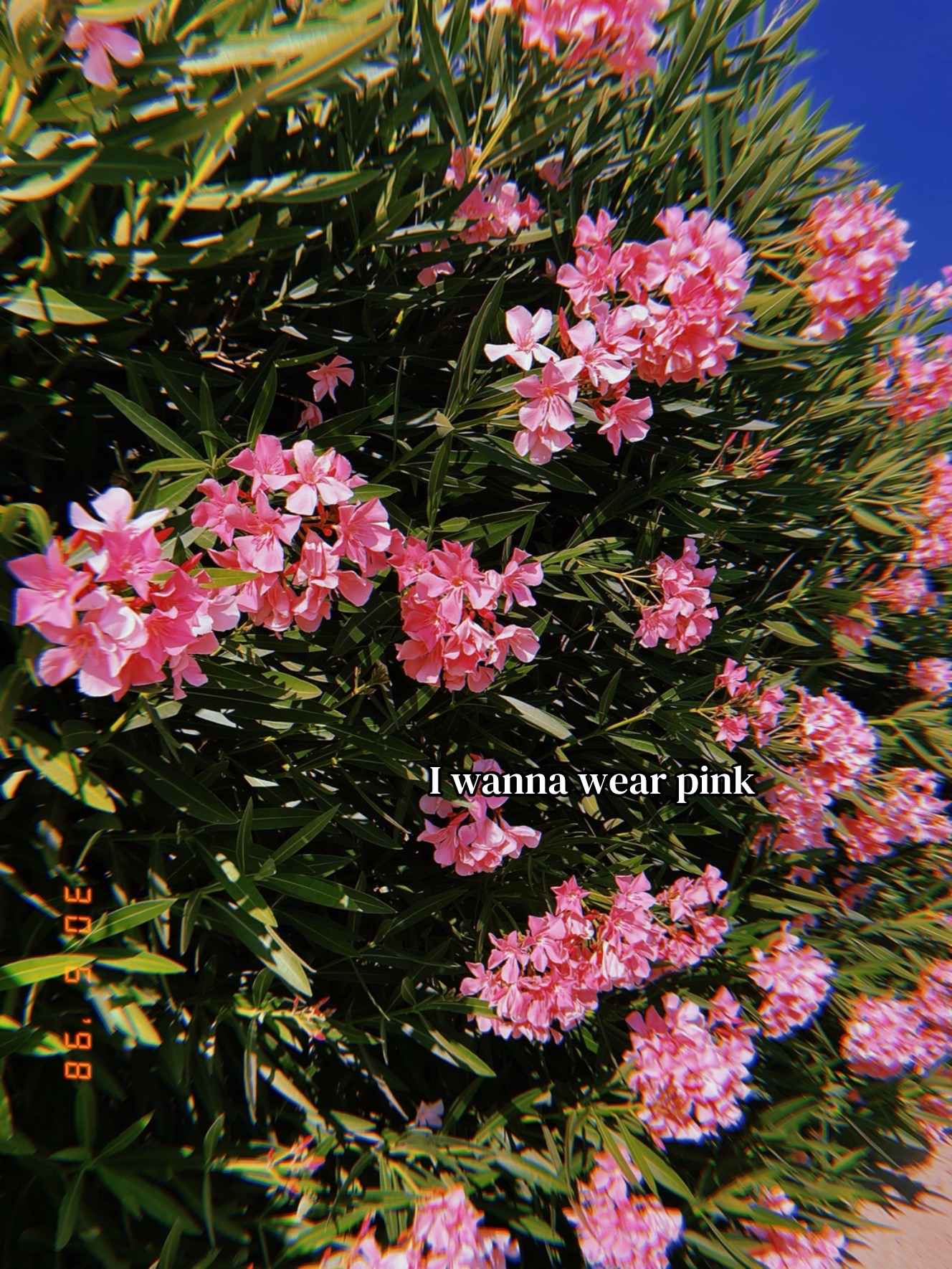 @𝓐𝓵𝓮𝓬𝓲𝓪. 𝔁 🪐
