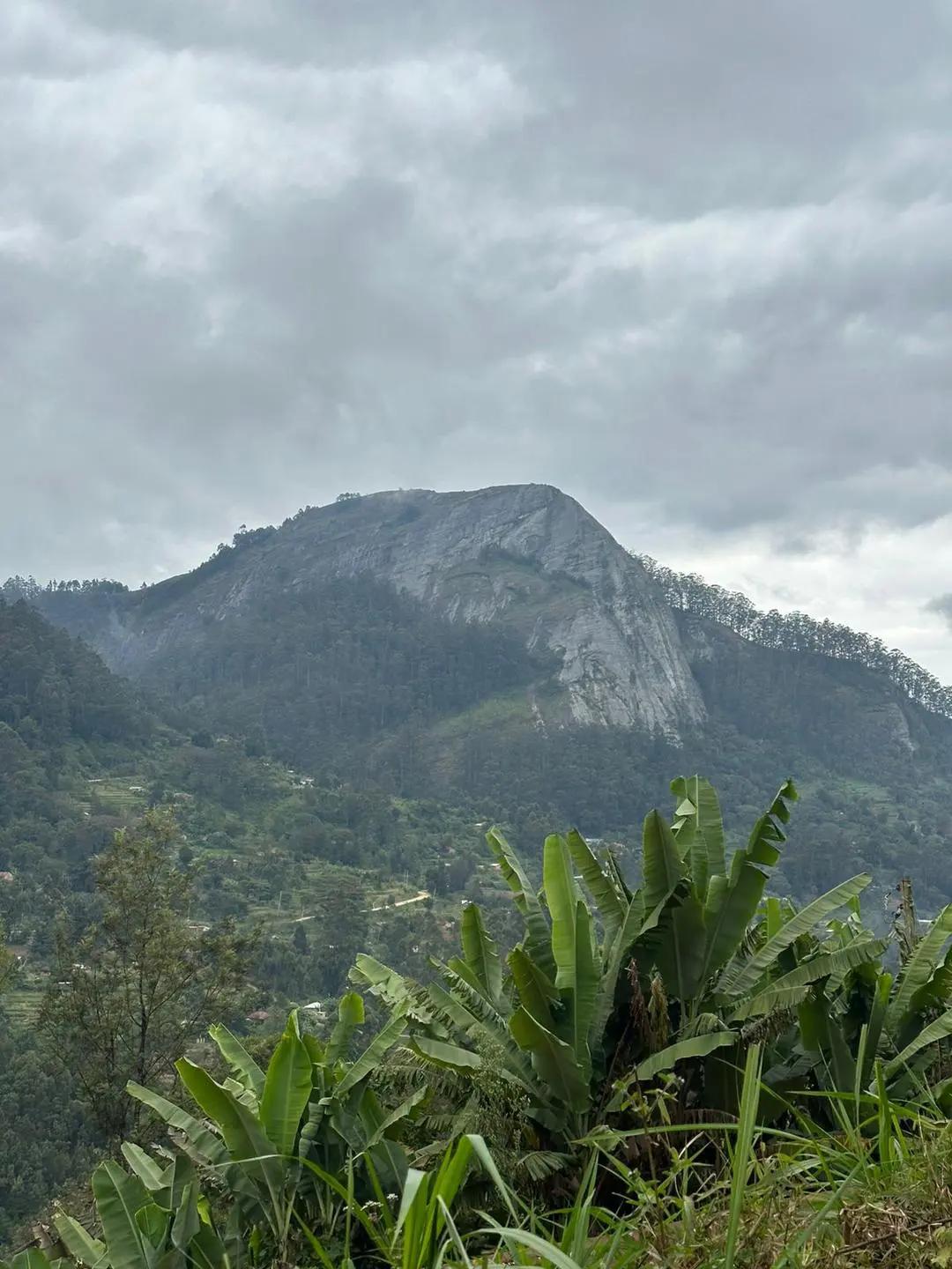 @Taita Hiking And Safari's