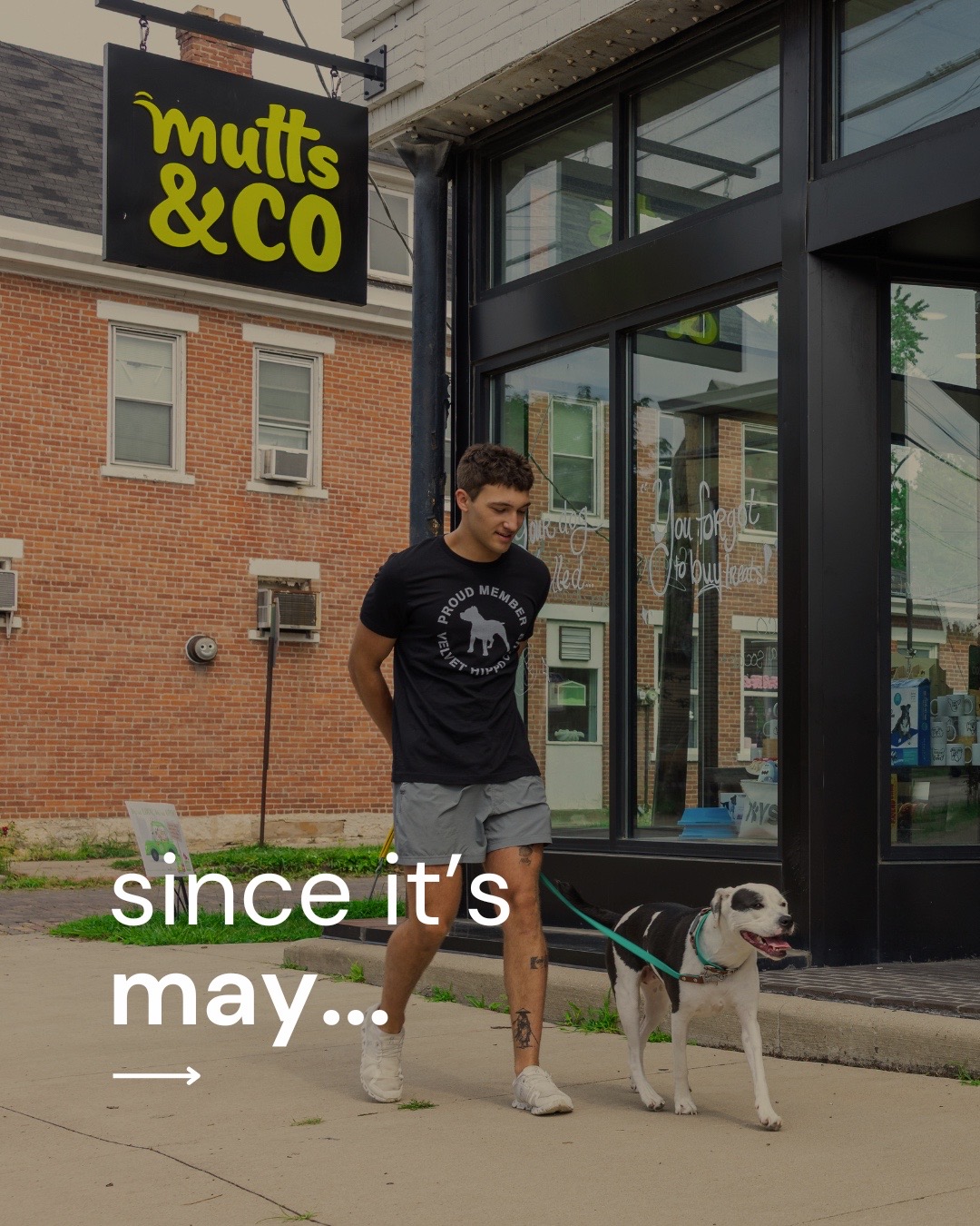 @Mutts & Co.