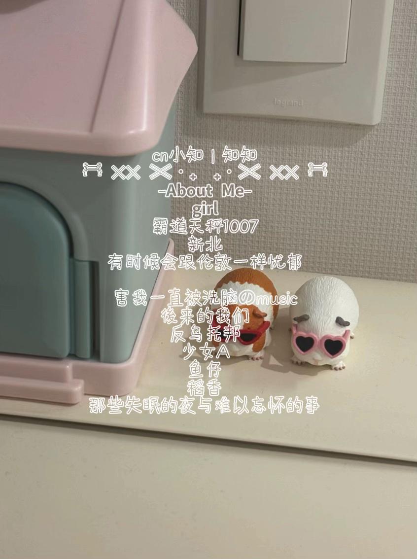 @小知 ⸝⸝