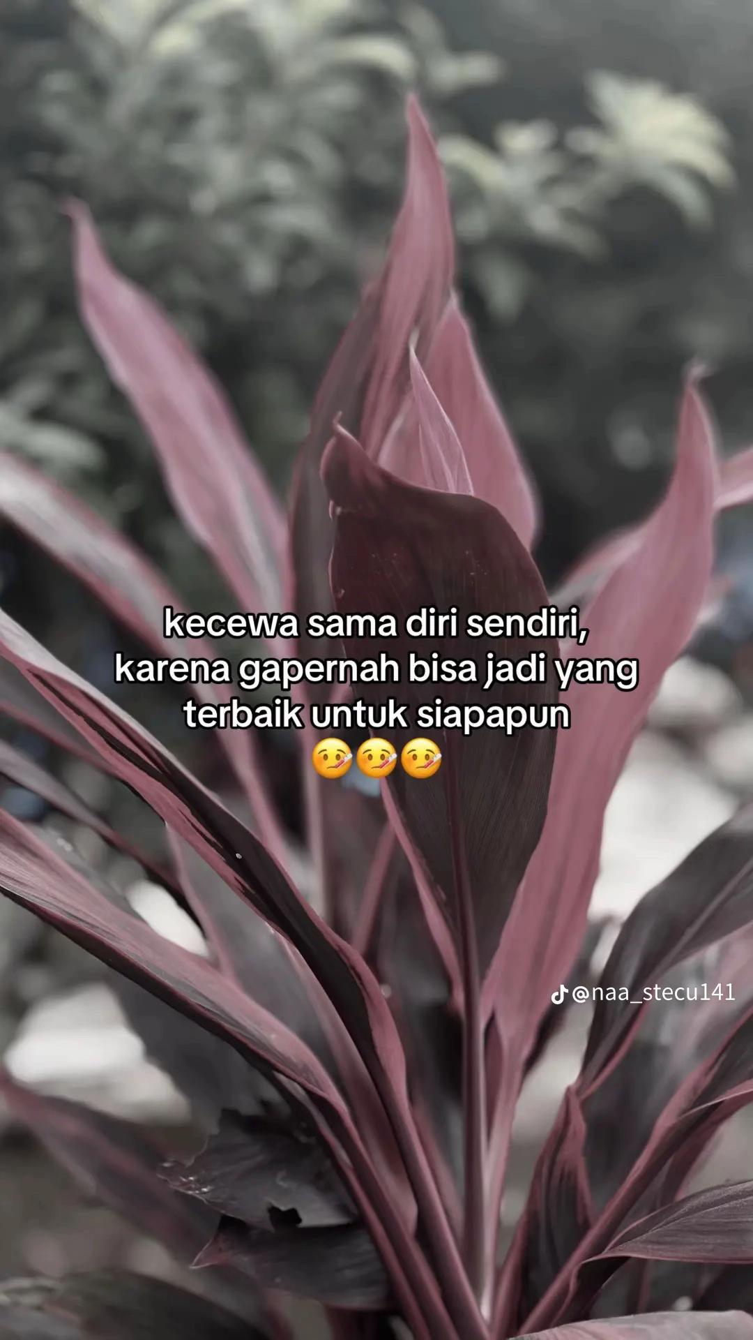 @L4_reh4n⚡