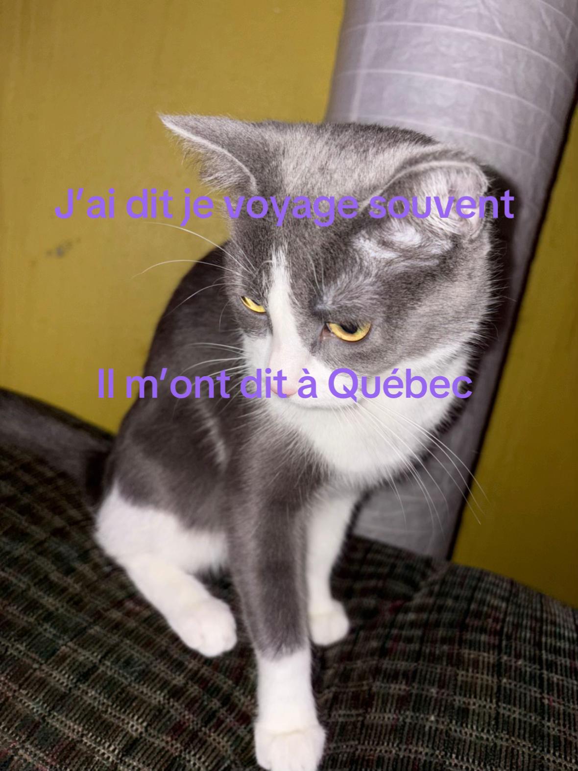 @Aurelie