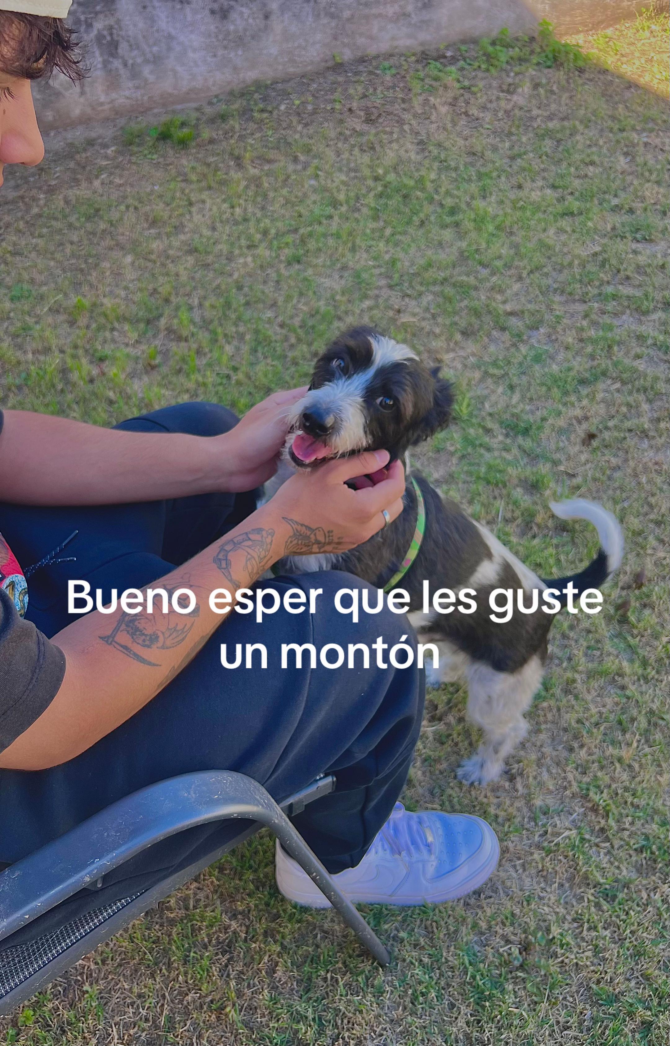 @Martuu🩷